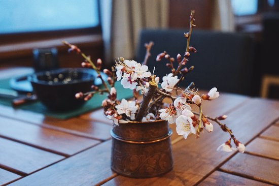 松赞来古山居主图