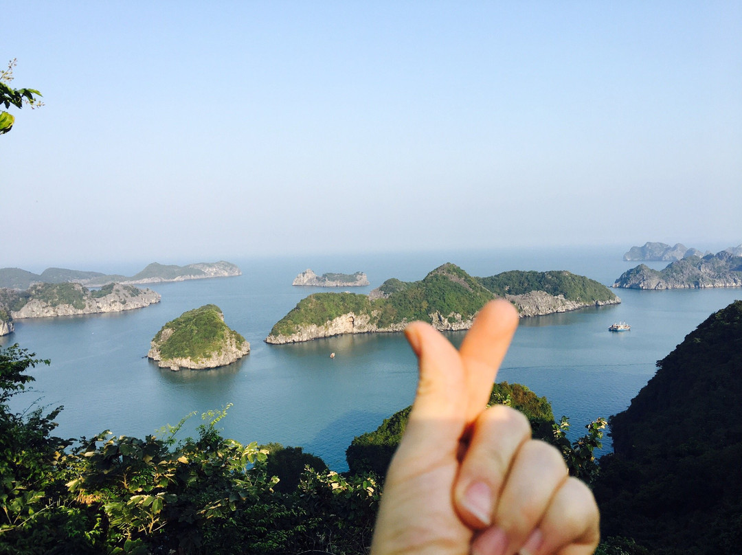 Den Dong Co-清化必去景点