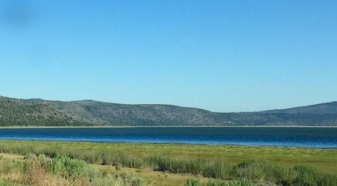 Susanville Ranch Park景点图片