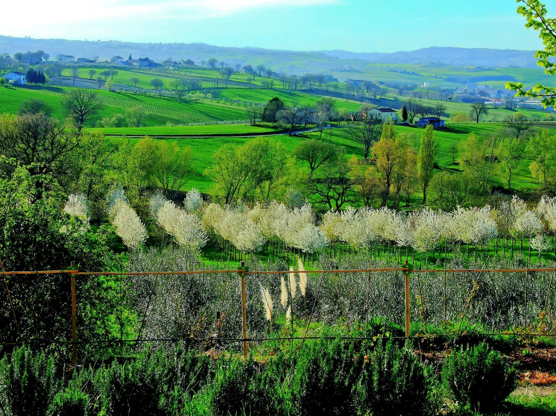 Giano dell'Umbria旅游攻略图片