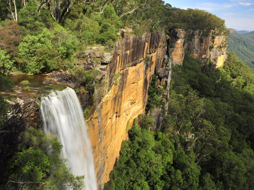 Fitzroy Falls旅游攻略图片