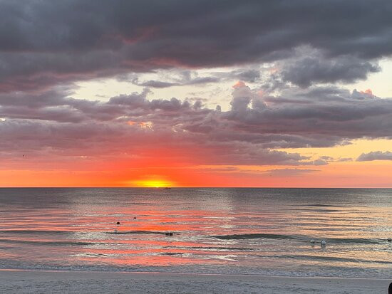 Club Regency of Marco Island主图