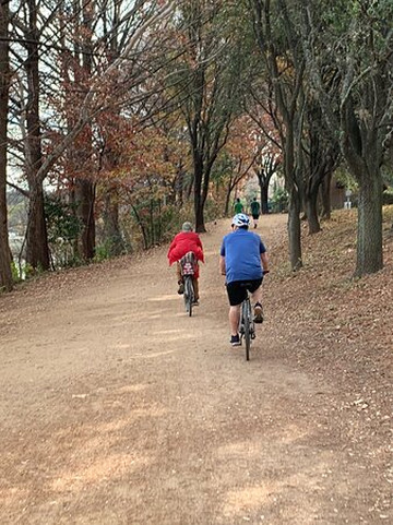 Barton Springs Bike Rentals & Tours-奥斯丁必去景点