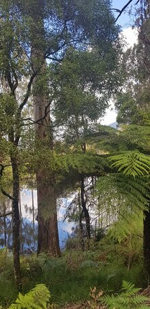 O'Shannassy Trail-华伯登必去景点