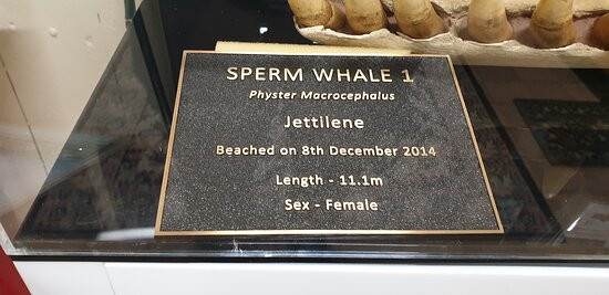 Ardrossan Museum And Information Centre-Ardrossan必去景点