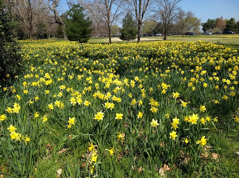 Columbia Island Marina-阿灵顿必去景点