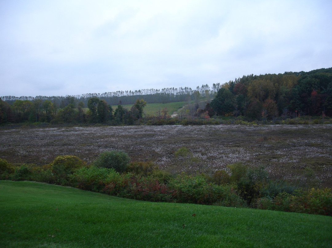 Arthur Hills Thoroughbred Golf Club景点图片