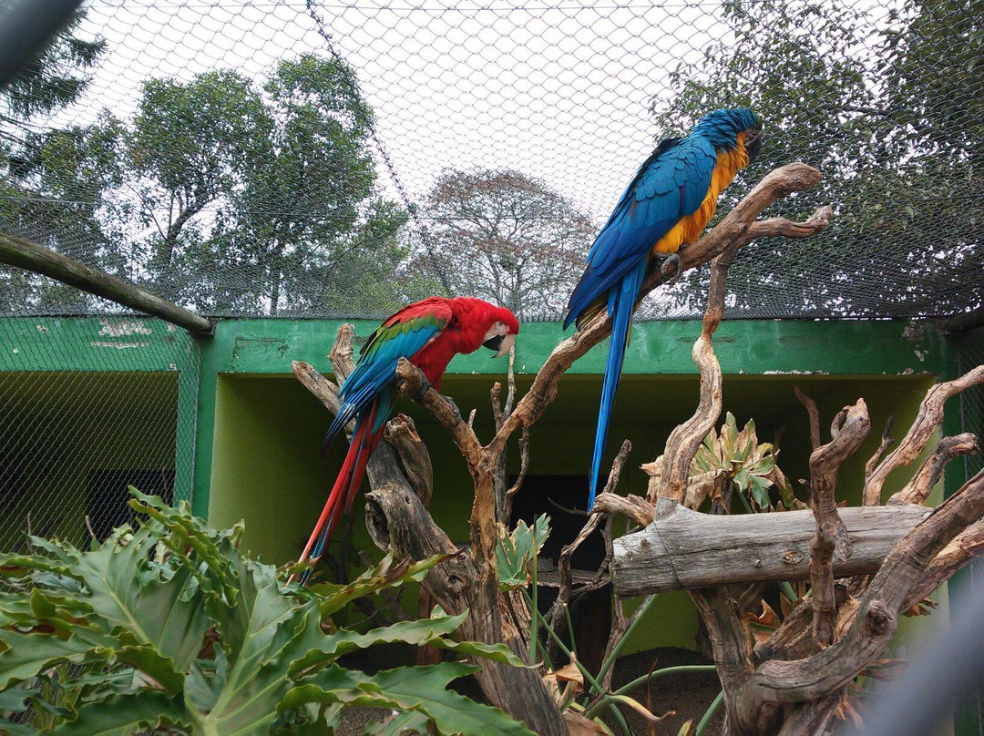 Bioparque Washington Rodriguez Piquinela-Durazno必去景点