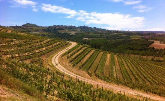 Ceretto Aziende Vitivinicole景点图片