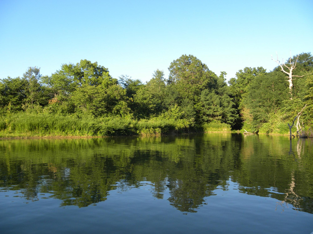 Smithville Lake景点图片