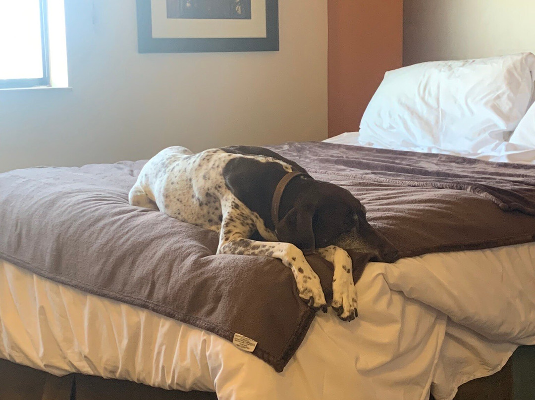 My Place Hotel-loveland, Co主图