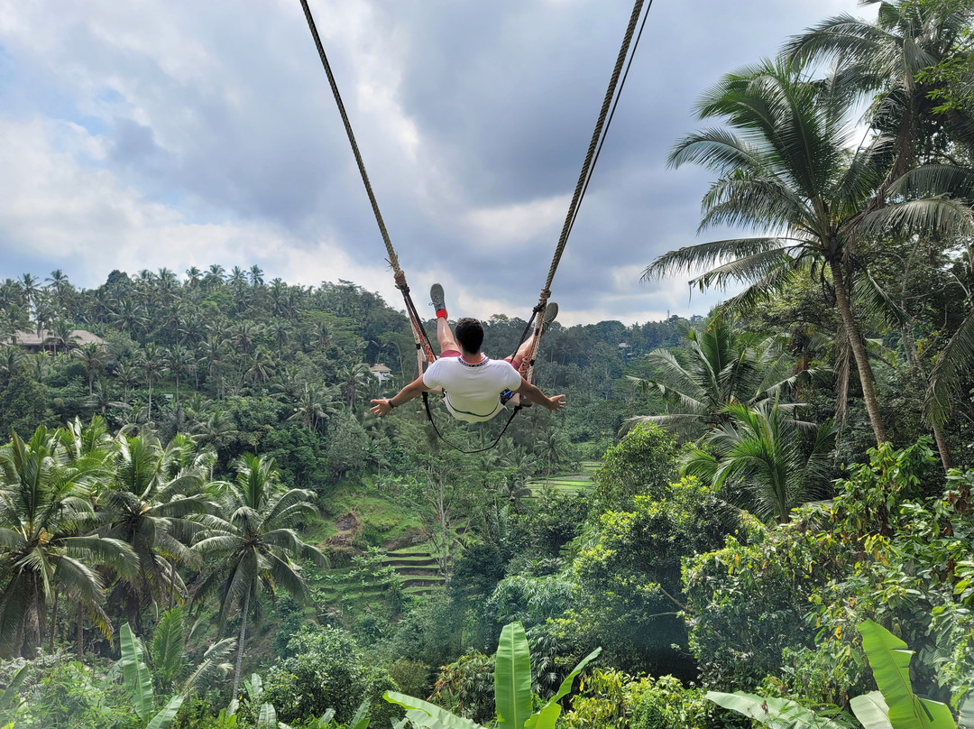Happy Swing Bali景点图片