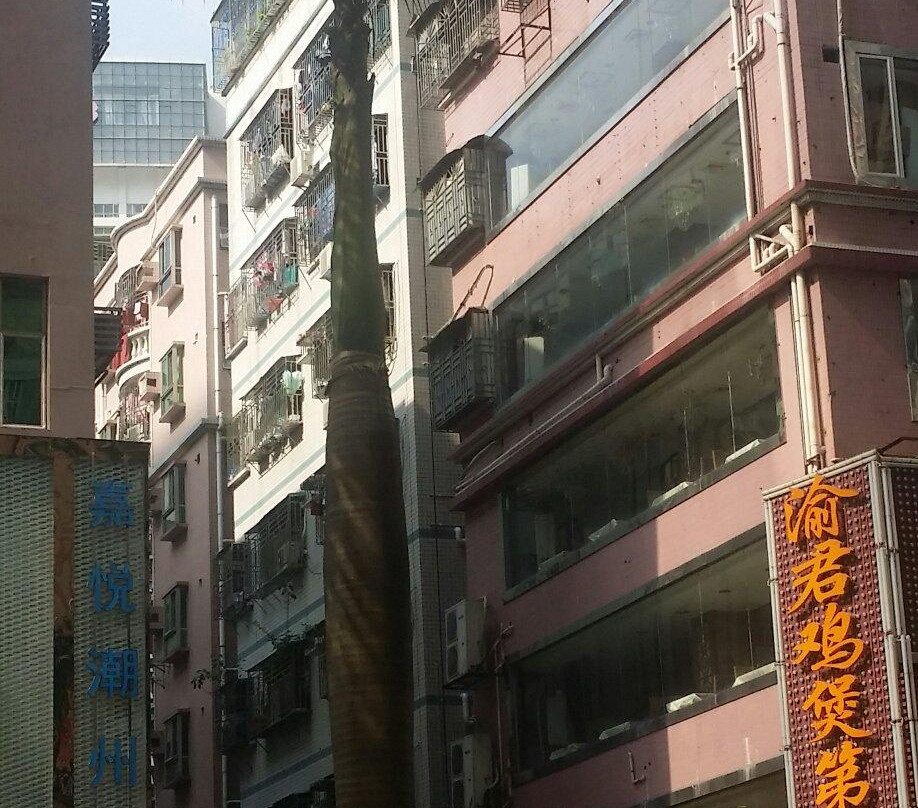 深圳向西村西区步行街景点图片