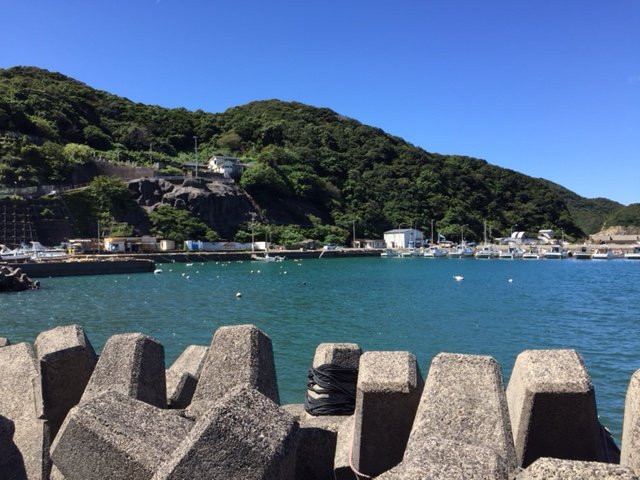 Bonotsu History Museum Kishinkan景点图片