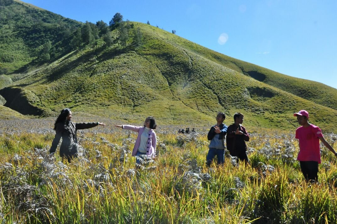 Nakula Bromo Tour-庞越必去景点