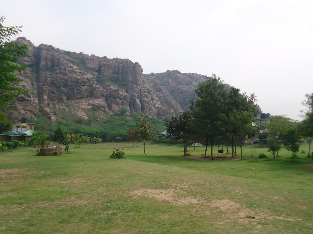 Camp Wild at Aravali Valley-法里达巴德必去景点