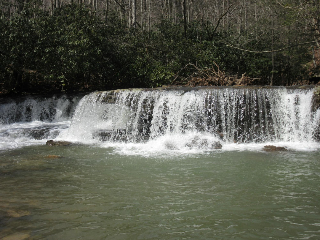 Camp Creek State Park & Forest景点图片