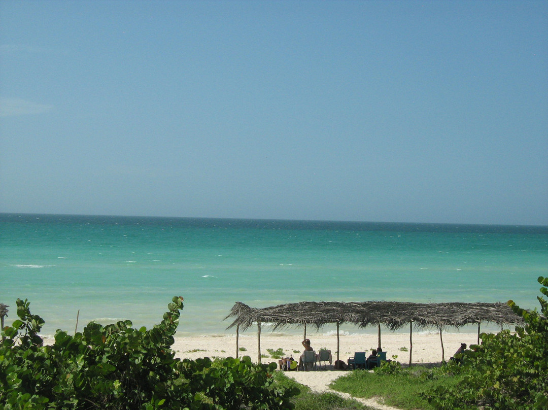 Palmar - Club De Playa