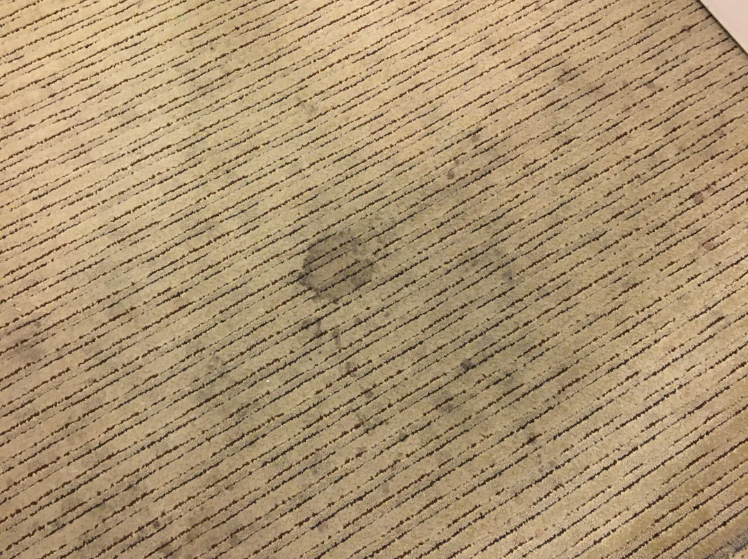 Comfort Inn Bloomington主图