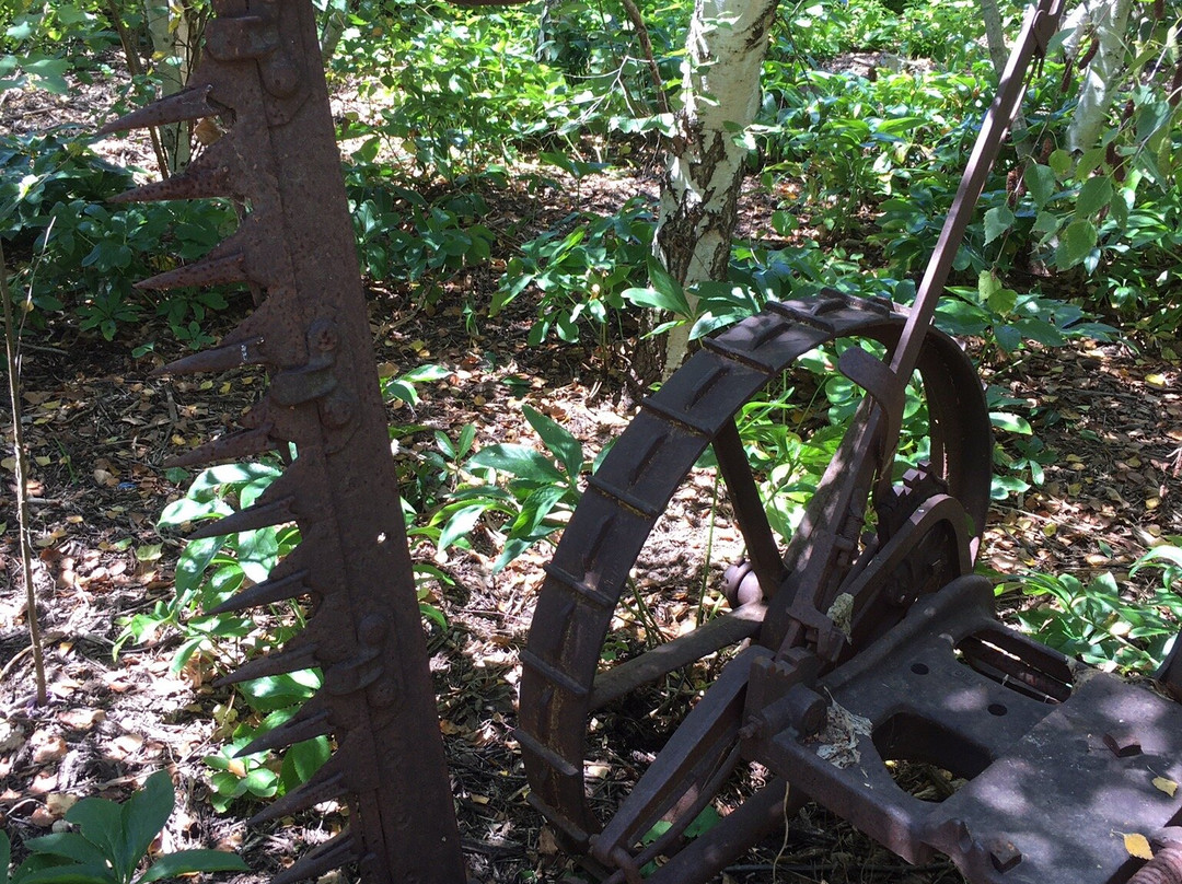 Alowyn Gardens-亚拉格林必去景点