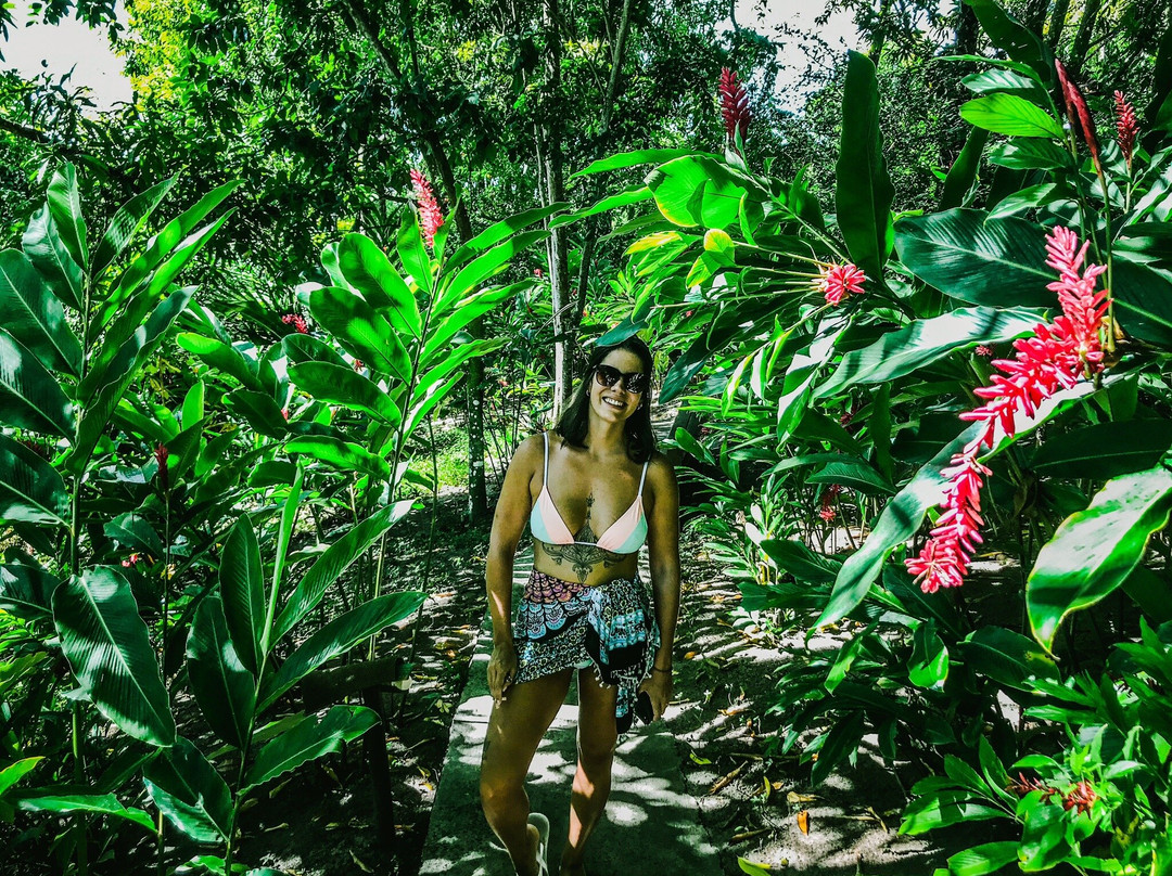 Hotel Alizees Morere主图