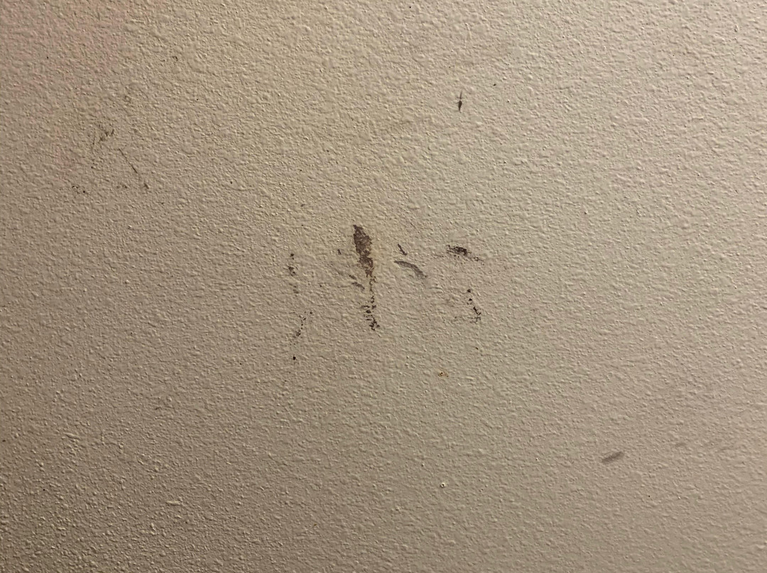 WoodSpring Suites Orlando West - Clermont主图