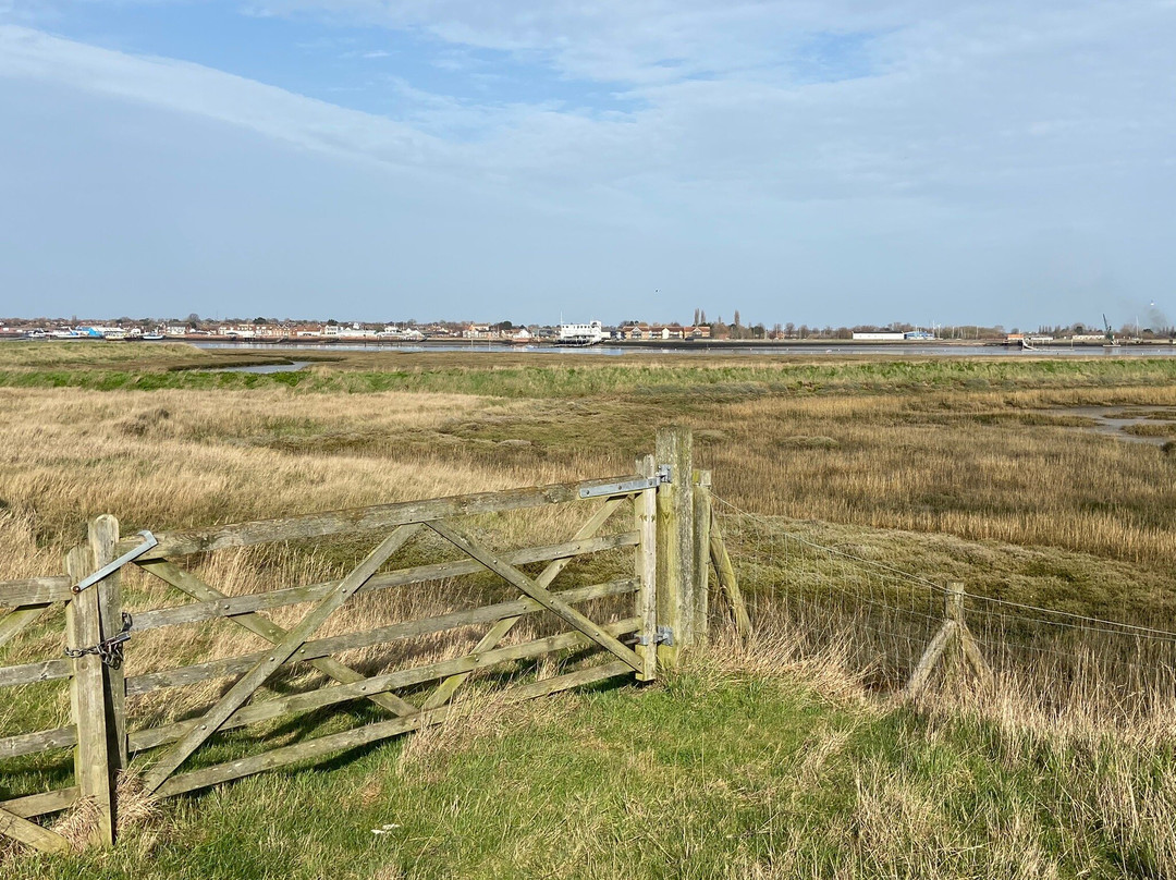 Wallasea Island Wild Coast景点图片