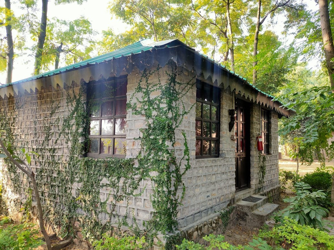 Ashoka Tiger Trail主图