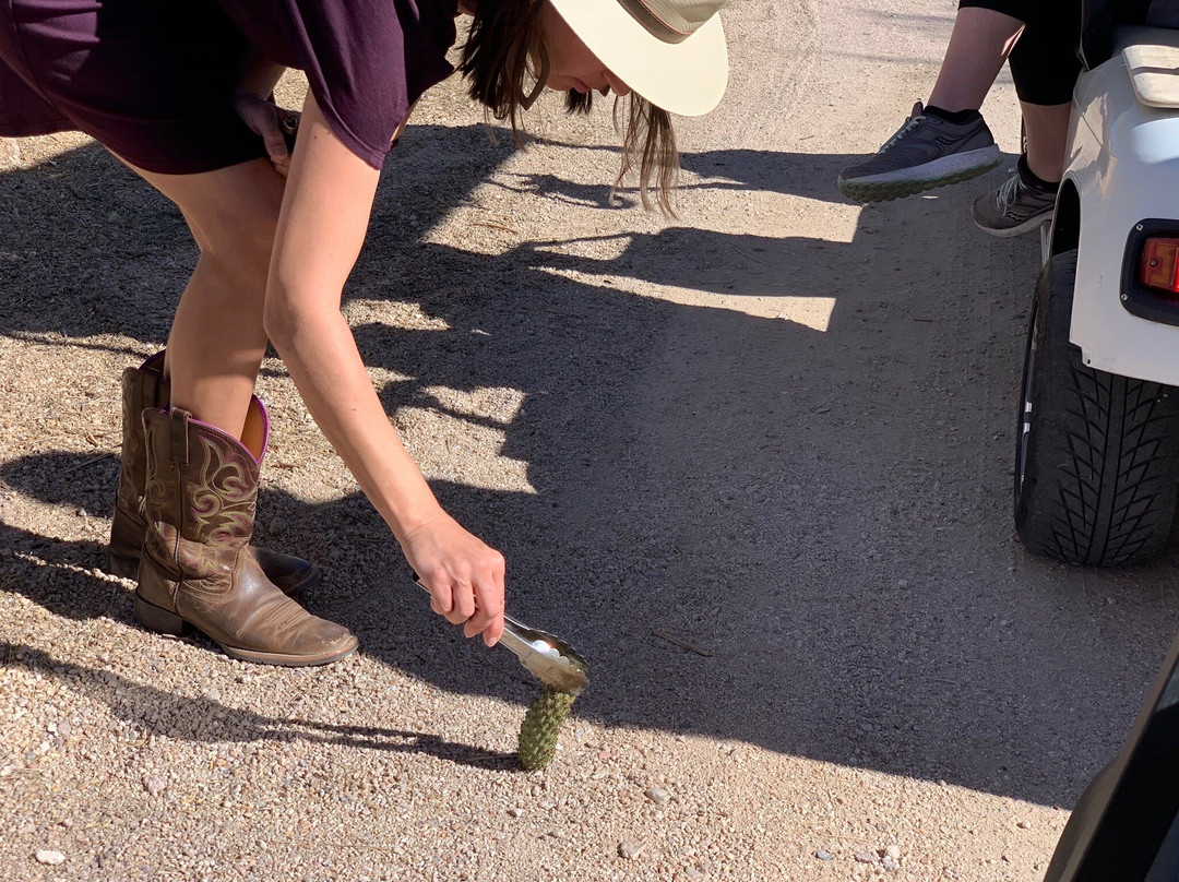 Sonoran Explorin Tours-凯尔福利必去景点