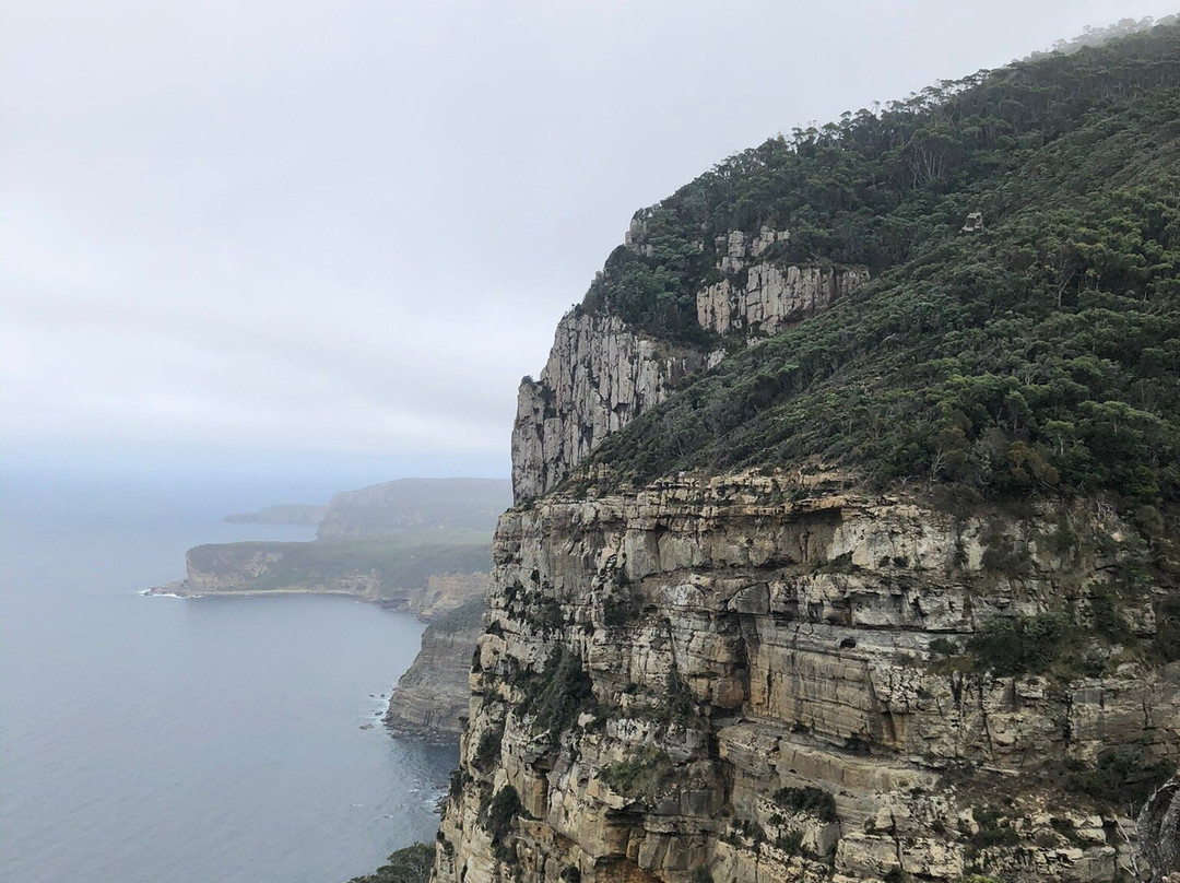 Cape Raoul-亚瑟港必去景点