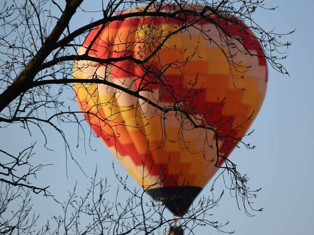 Globos Aerostaticos Argentina景点图片