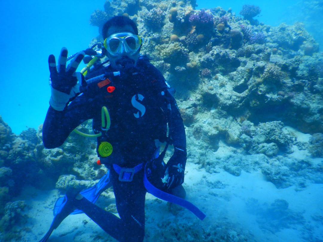 Charisma Diving Sudan-Port Sudan必去景点