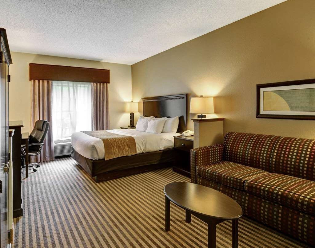 Comfort Inn & Suites主图