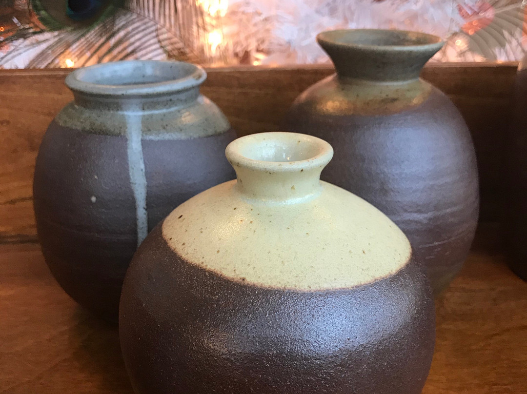 Willow Tree Wellness-Lodi必去景点