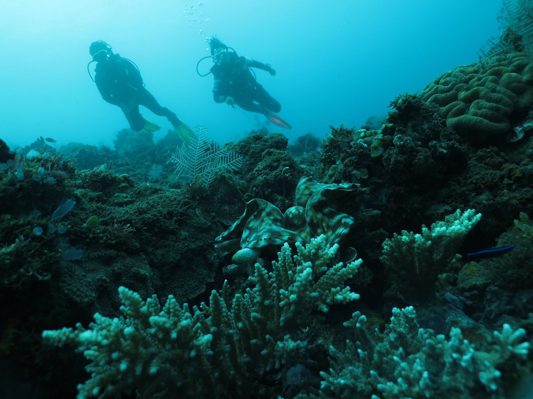 Bali Scuba Course-图兰本必去景点