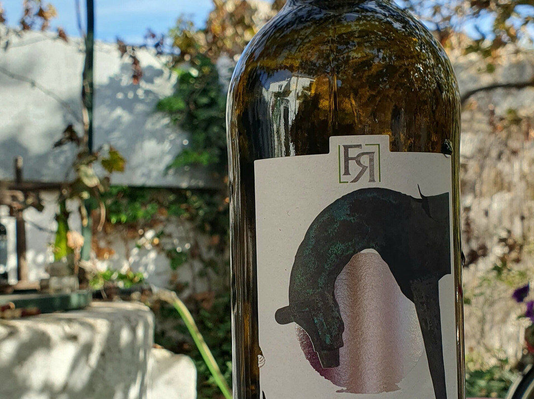 Bebe Vino Catas景点图片