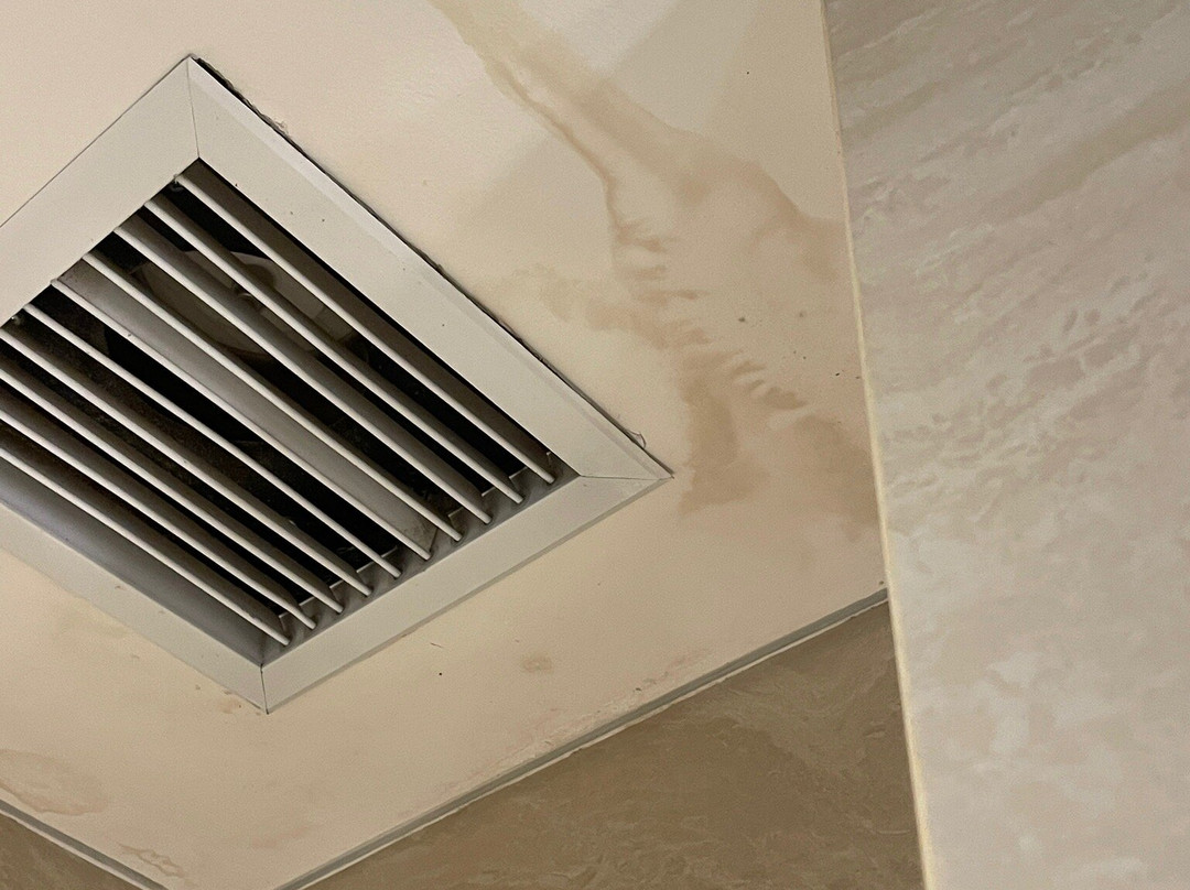 The Excelton Hotel主图