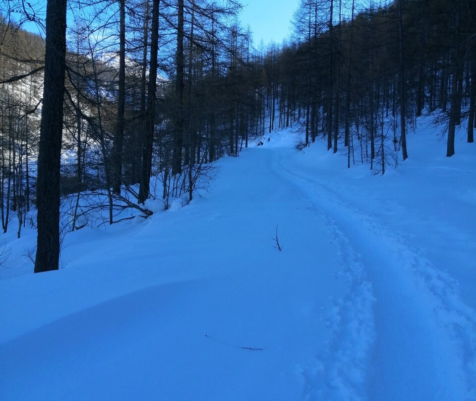Valle Argentera-Sauze di Cesana必去景点