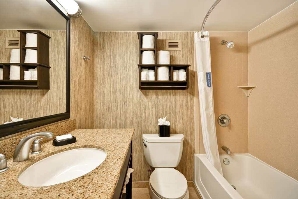 芝加哥纳珀维尔希尔顿恒庭酒店主图