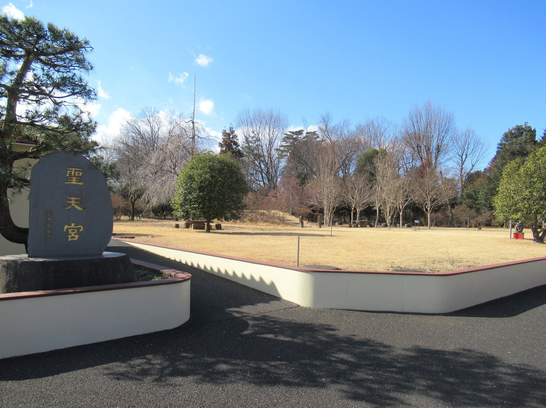 Five Thousand Soaring Dragons Seitenkyu Temple-坂户市必去景点