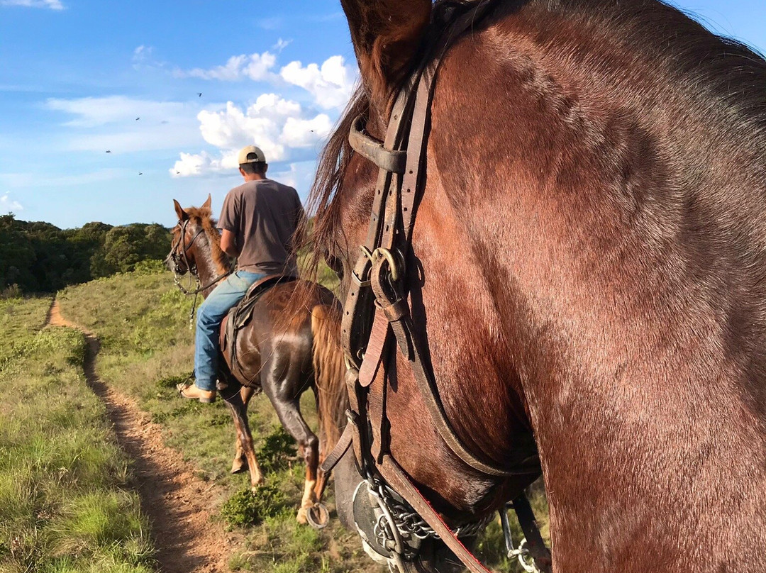 Rancho do Tinho-坎普斯－杜若尔当必去景点