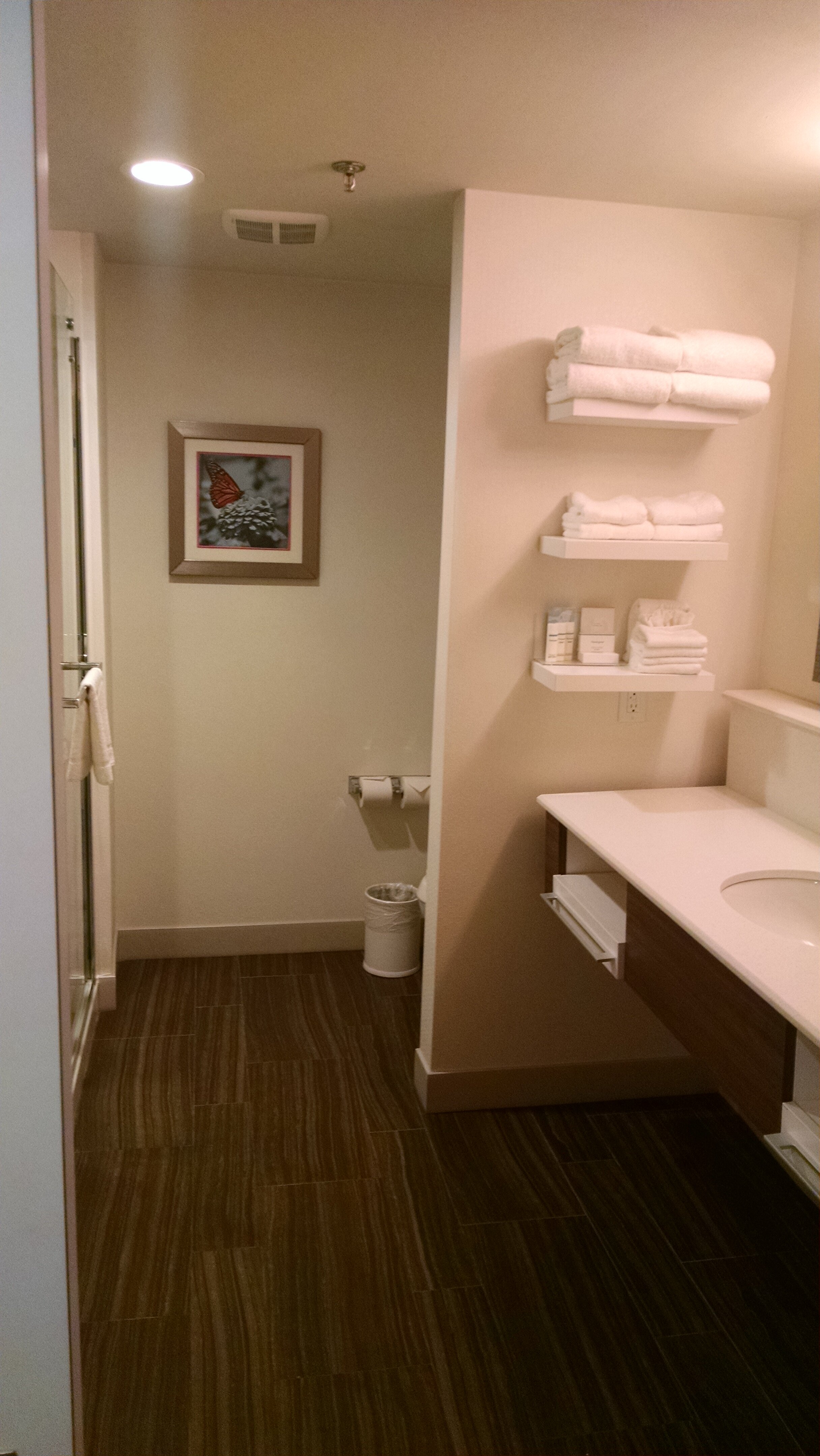 Hampton Inn North Little Rock Mccain Mall-浴室
