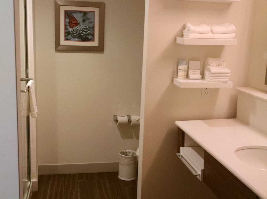 Hampton Inn North Little Rock Mccain Mall主图
