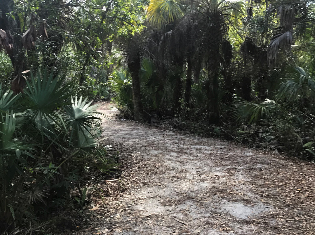 美洲狮国家野生动物保护区-Immokalee必去景点