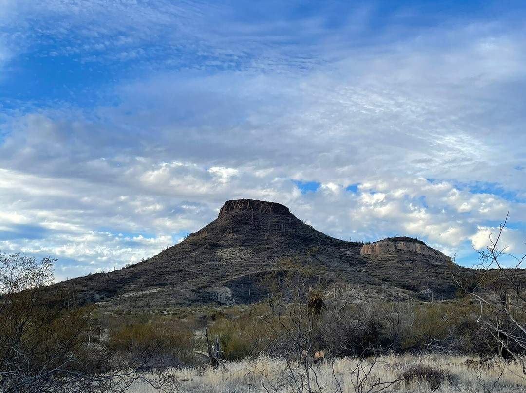 Brown's Ranch Trailhead-斯科茨代尔必去景点