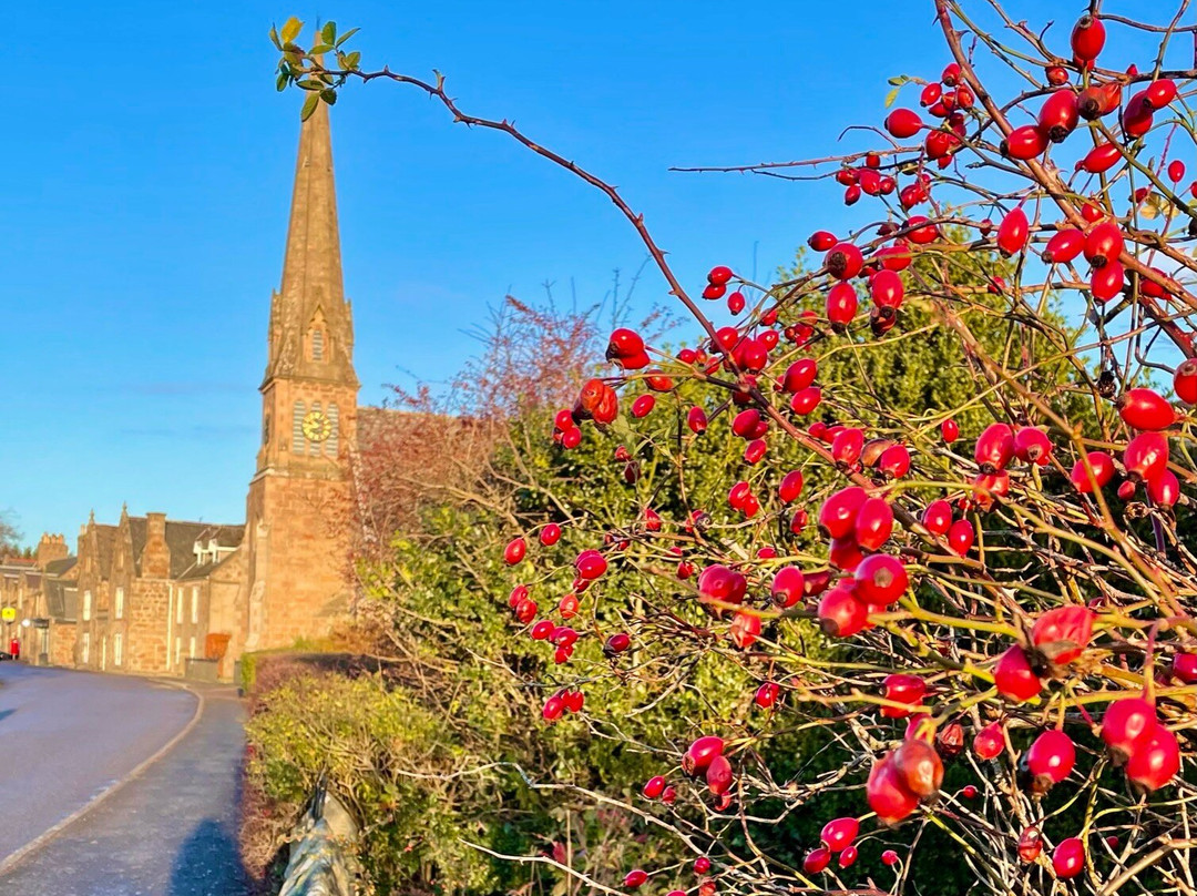 The Old Free Kirk