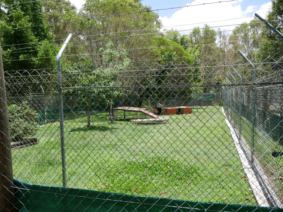 Fraser Coast Wildlife Sanctuary-Maryborough必去景点