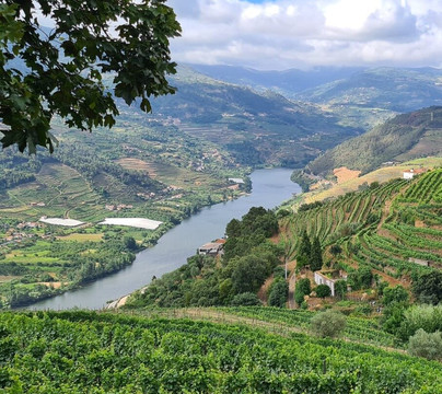 Infinity Douro - Private Tours & Transfers-佩苏达雷瓜必去景点