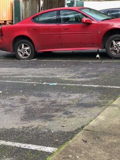 La Quinta Inn by Wyndham Olympia - Lacey主图