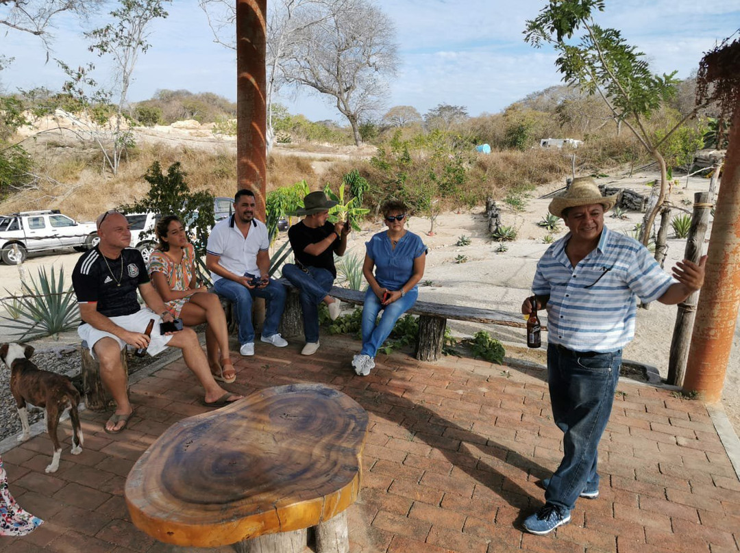 Agave Fields-瓦图尔科必去景点